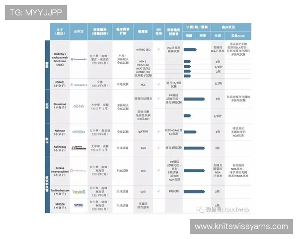云顶新耀官网下载官方正版，保障游戏安全稳定的完整步骤